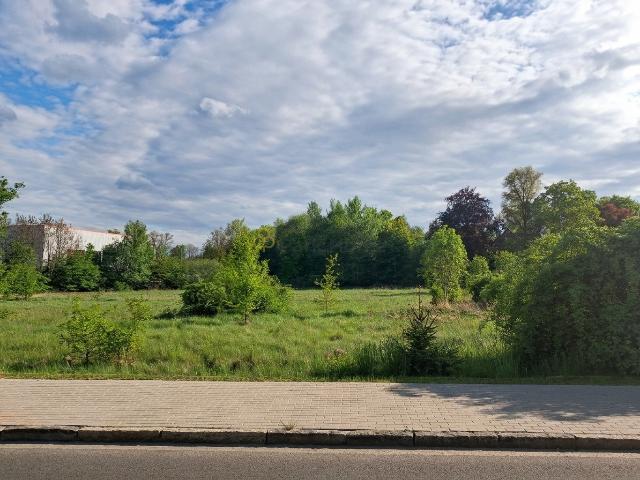 Grunt na sprzedaż w Wymiarki, Lubuskie