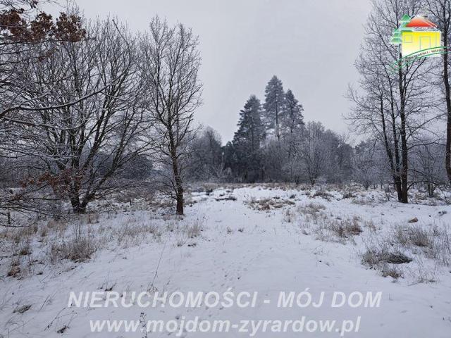 Grunt na sprzedaż w Żyrardów, Mazowieckie