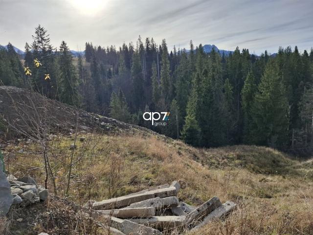 Grunt na sprzedaż w Zakopane, Małopolskie