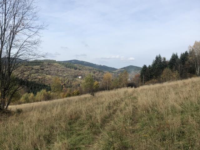 Grunt na sprzedaż w Zawoja, Małopolskie