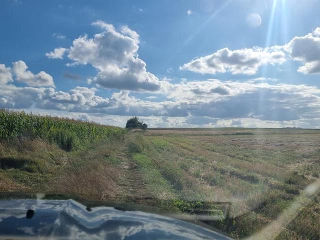 Grunt na sprzedaż w Zacisze, Zawonia