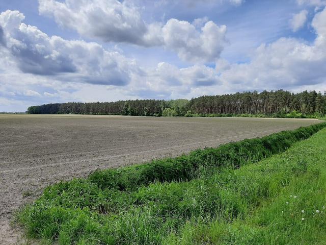 Grunt na sprzedaż w Zduny, Wielkopolskie