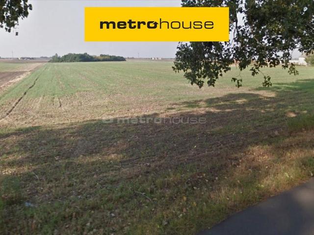 Grunt na sprzedaż w Zielątkowo, Wielkopolskie
