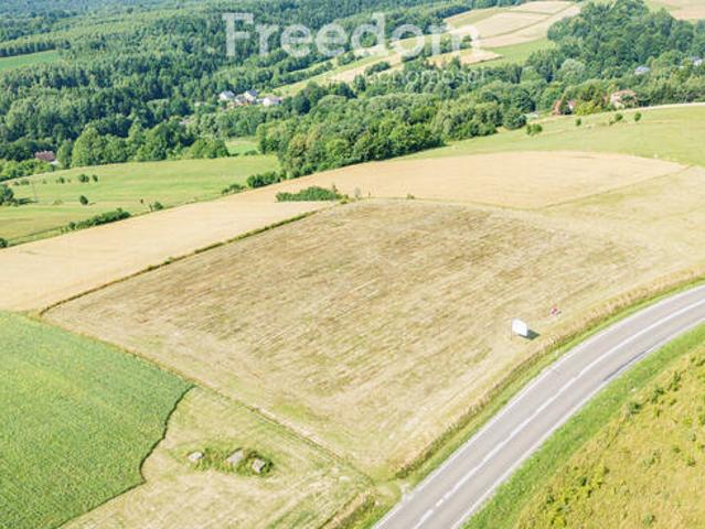 Grunt na sprzedaż w Dynów, Podkarpackie
