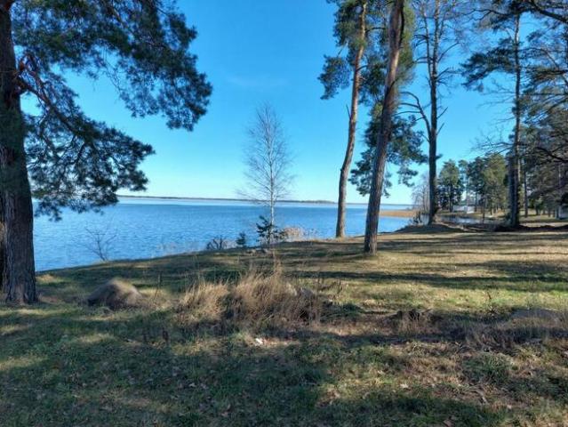 Grunt na sprzedaż w Narewka, Podlaskie