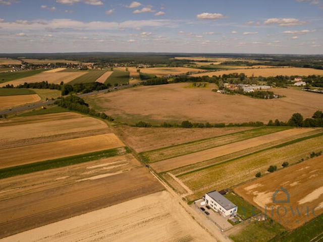 Grunt na sprzedaż w Oleśnica, Dolnośląskie