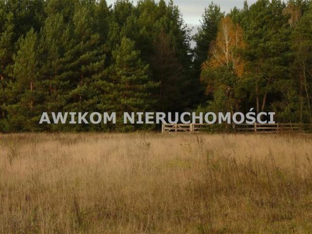 Grunt na sprzedaż w Puszcza Mariańska, Mazowieckie