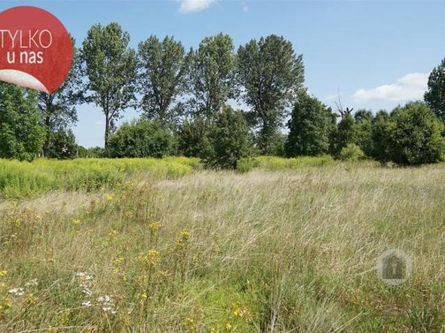 Grunt na sprzedaż w Deszczno, Lubuskie