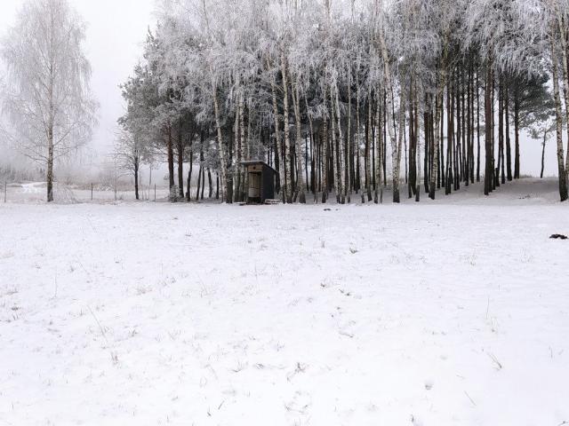 Grunt na sprzedaż w Krynice, Podlaskie