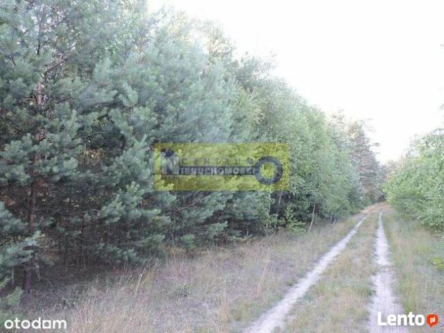 Grunt na sprzedaż w Wieniawa, Mazowieckie