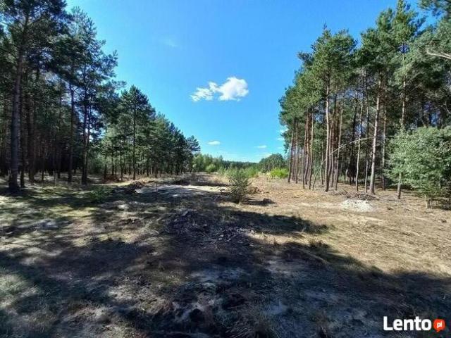 Grunt na sprzedaż w Nowa Wieś Wielka, Kujawsko-pomorskie