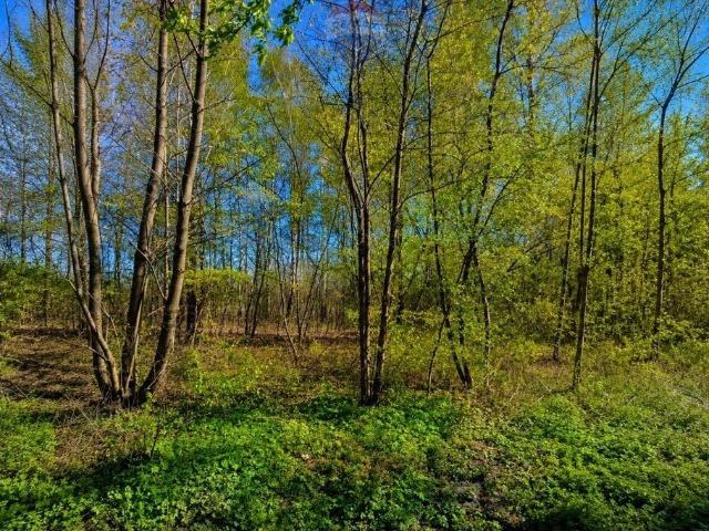 Grunt na sprzedaż w Grabów Nad Pilicą, Mazowieckie