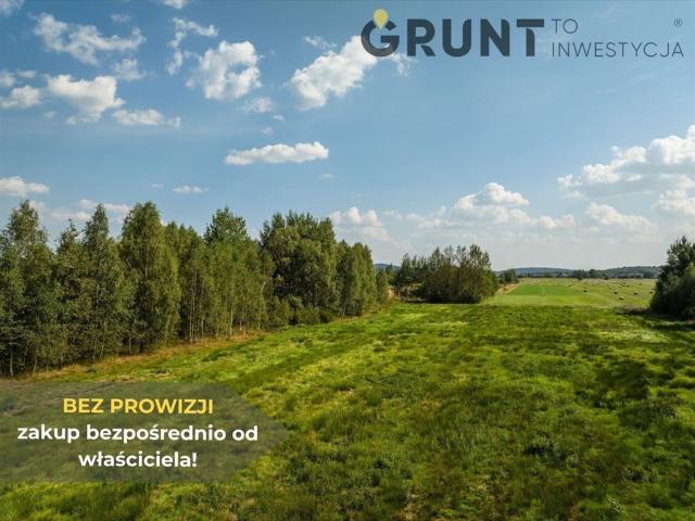 Grunt na sprzedaż w Mniów, Świętokrzyskie