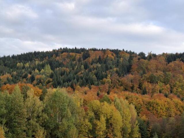 Grunt na sprzedaż w Iwkowa, Małopolskie