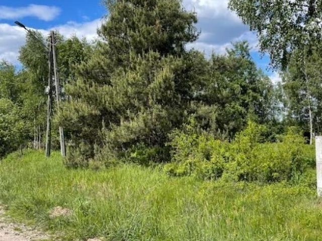 Grunt do wynajęcia w Radzymin