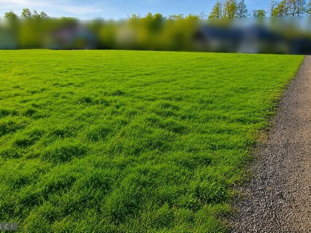 Grunt na sprzedaż w Zielonki, Małopolskie