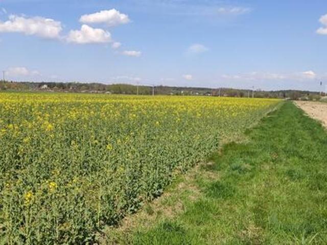 Grunt na sprzedaż w Czarna, Podkarpackie