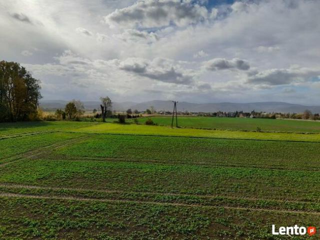 Grunt na sprzedaż w Dzierżoniów, Dolnośląskie
