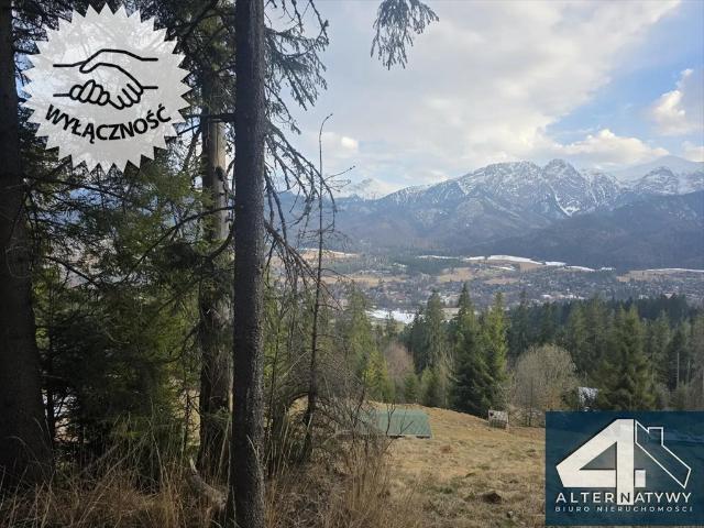 Grunt na sprzedaż w Zakopane, Małopolskie