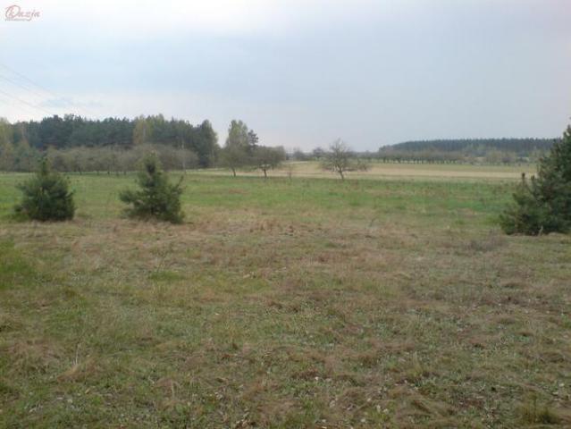Grunt na sprzedaż w Żabia Wola, Mazowieckie
