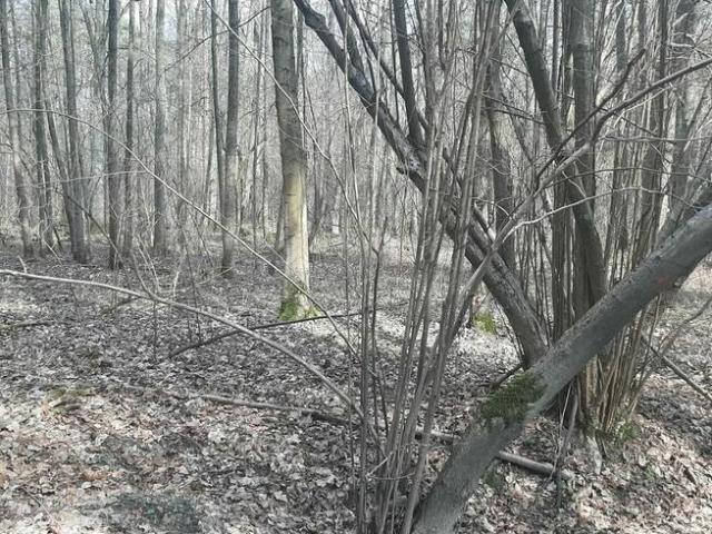 Grunt na sprzedaż w Zgierz, Łódzkie