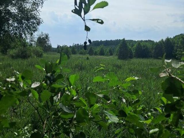 Grunt na sprzedaż w Pisz, Warmińsko-mazurskie