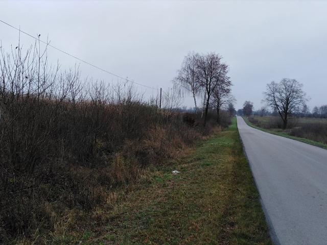 Grunt na sprzedaż w Siedliszcze, Lubelskie