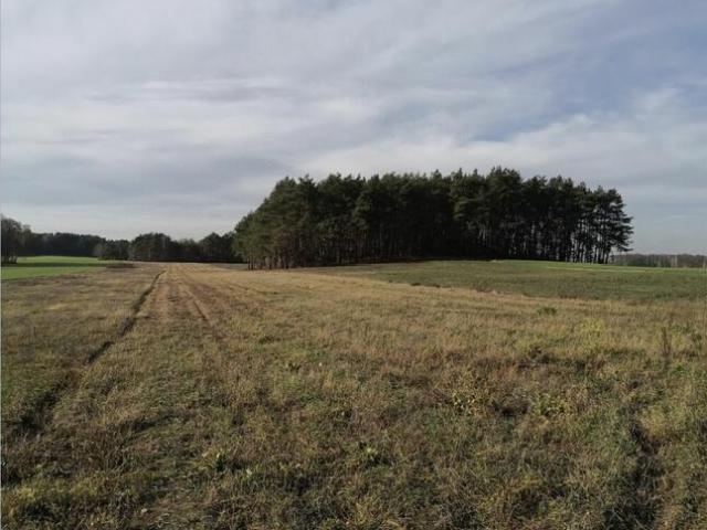 Grunt na sprzedaż w Tuliszków, Wielkopolskie