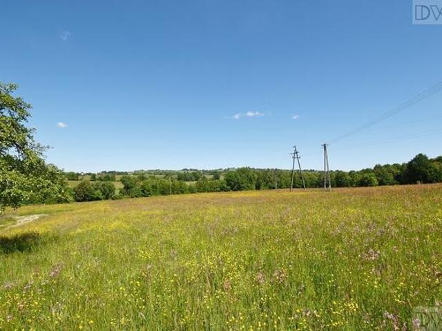 Grunt na sprzedaż w Łapanów, Małopolskie
