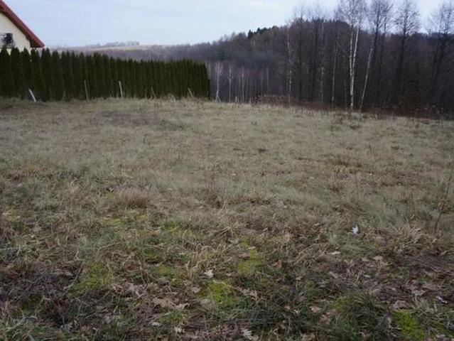 Grunt na sprzedaż w Ryglice, Małopolskie
