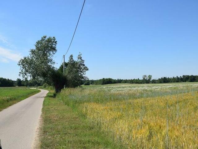 Grunt na sprzedaż w Szczucin, Małopolskie