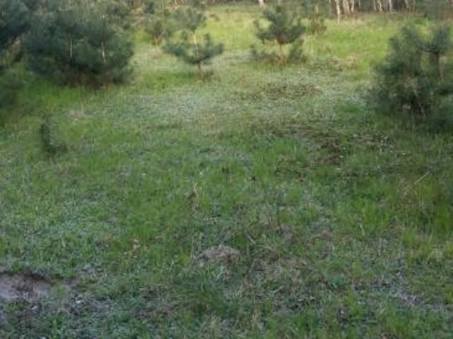 Grunt na sprzedaż w Krzęcin, powiat choszczeński