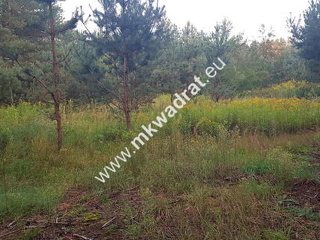 Grunt na sprzedaż w Jaktorów, powiat grodziski