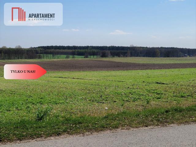 Grunt na sprzedaż w Rogowo, Kujawsko-pomorskie