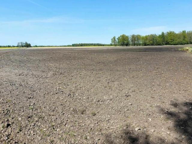 Grunt na sprzedaż w Dębowa Kłoda, Lubelskie