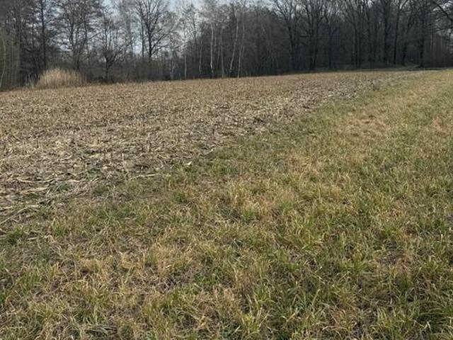 Grunt na sprzedaż w Strzelin, Dolnośląskie