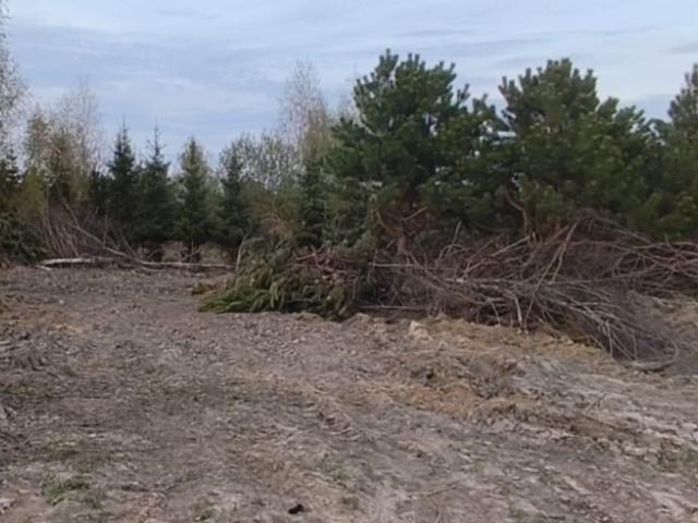 Grunt na sprzedaż w Kobylnica, Wielkopolskie