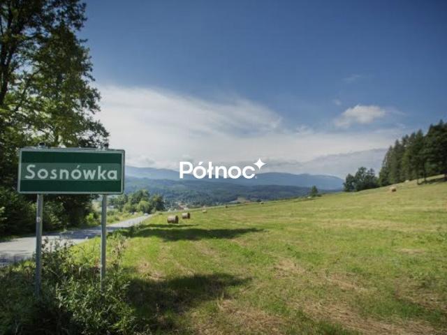 Grunt na sprzedaż w Sosnówka, Dolnośląskie