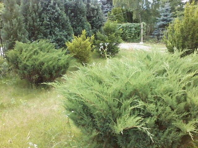 Grunt na sprzedaż w Grodzisk Mazowiecki, Mazowieckie