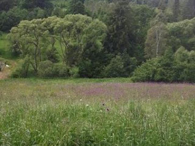 Grunt na sprzedaż w Milówka, Śląskie
