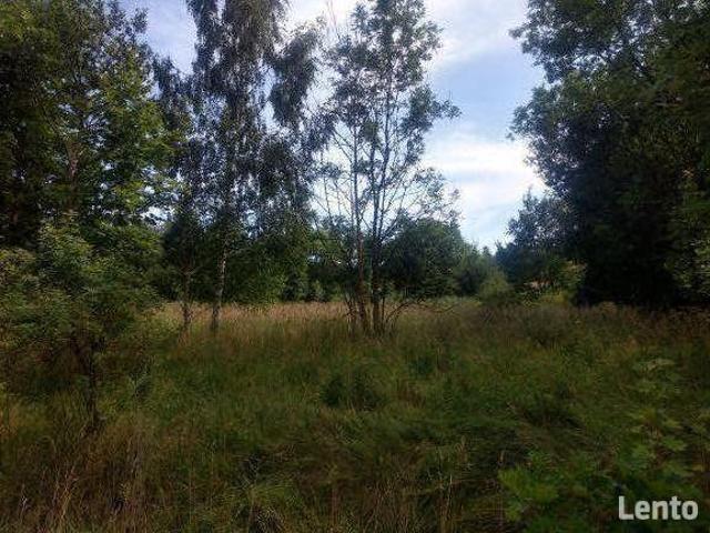 Grunt na sprzedaż w Lądek-zdrój, Dolnośląskie