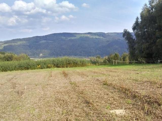 Grunt na sprzedaż w Stary Sącz, Małopolskie