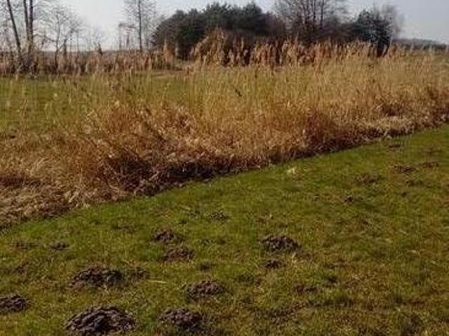 Grunt na sprzedaż w Szadek, Łódzkie