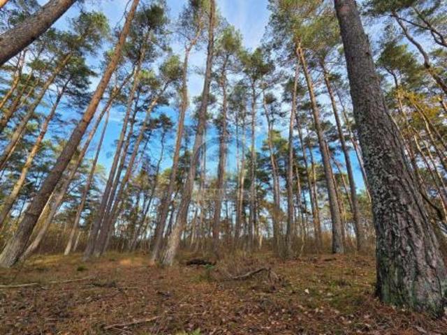 Grunt na sprzedaż w Dziwnów, Zachodniopomorskie