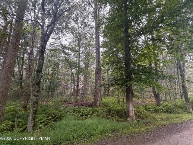 Land for sale in Newfoundland, Pennsylvania