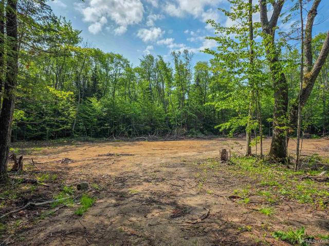 Land for sale in Michigan