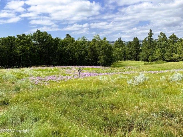 Land for sale in Wyoming