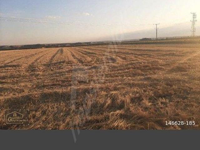Silivri, İstanbul içerisinde satılık Dükkan