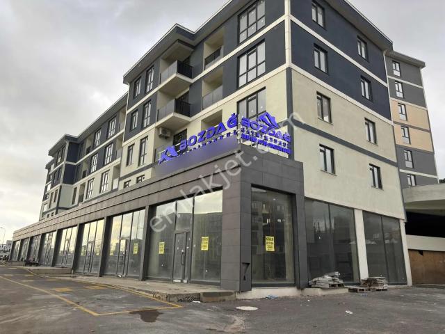 Pendik, İstanbul içerisinde kiralık mülk