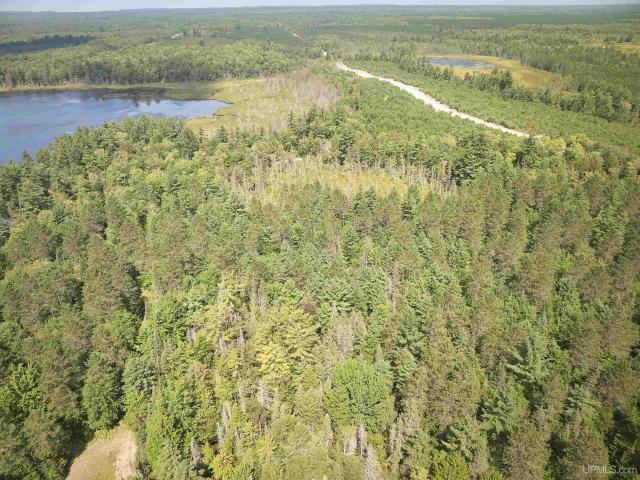 Land for sale in Au Train, Michigan